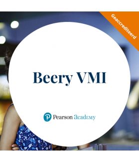 beery vmi reliability and validity
